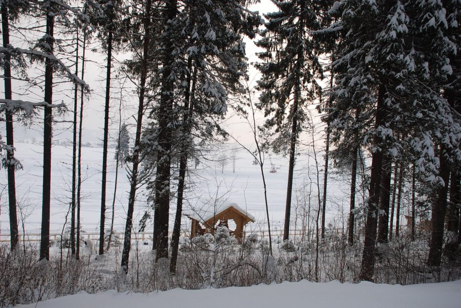 Новогодний караванерский пробег в Великий Устюг (2009–2010), фото 12