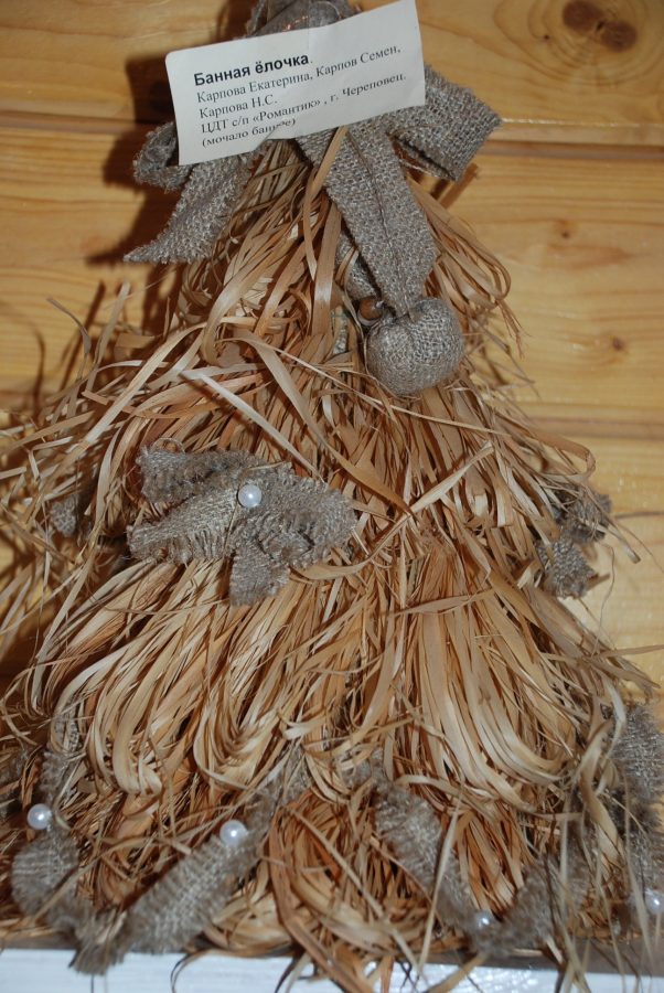 Новогодний караванерский пробег в Великий Устюг (2009–2010), фото 10