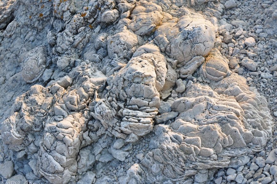 Фотоотчет о Готланде – сказочный шведский остров глазами Елены Артюховой, фото 25