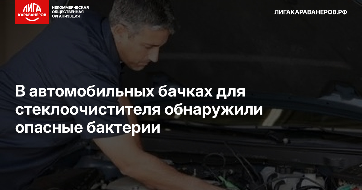 В автомобильных бачках для стеклоочистителя обнаружили опасные бактерии